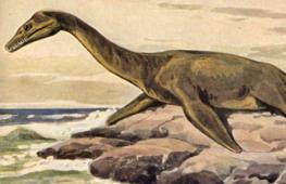 Czy istnieje potwór z Loch Ness znany całemu światu?