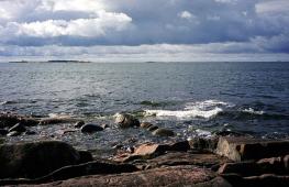The sea in Finland: beaches, islands, sights, recreation Fauna and flora