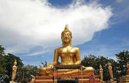 Tayland'daki turistler için geziler Pattaya'daki en iyi geziler