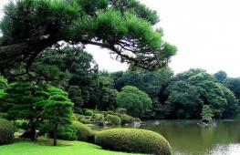 Tokyo Gardens East Garden of the Imperial Palace