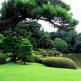 Сады токио Восточный сад Императорского дворца