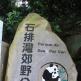 Makao'da ne ve nasıl görülmeli Makao'daki pandalar
