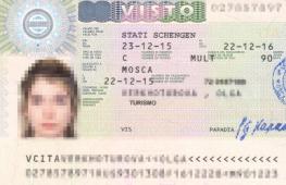Мультивиза Шенген на 1 год