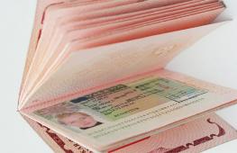 Kako se provjerava spremnost za vizu?