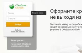 Payment of state duty for a foreign passport to Sberbank online