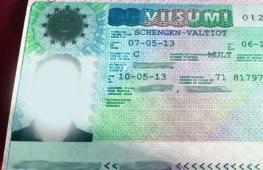 Колко време отнема получаването на финландска виза: време за обработка и проверка на готовността на документите