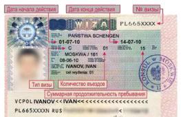 Welche Arten von Visa gibt es: Klassifizierung und allgemein anerkannte Bezeichnungen