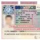 Jaké typy víz existují: klasifikace a obecně přijímaná označení